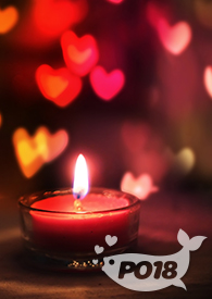 大叔收留俩流浪猫